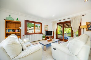 Televisión, chimenea y reproductor de DVD 