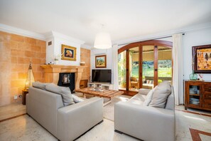 Televisión, chimenea y reproductor de DVD 