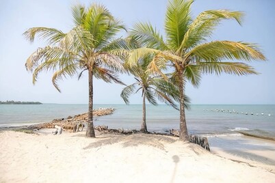 Beachfront Mangrove Cottage (Playa Blanca, San Antero)