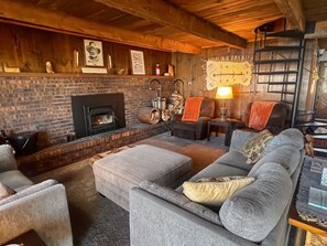 Smart TV, fireplace, DVD player, books