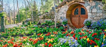 70+ Amenities | Cabin w/ 2-Story Windows + Studio