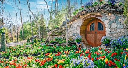 70+ Amenities | Cabin w/ 2-Story Windows + Studio