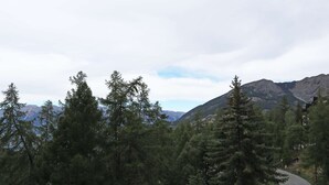 A road winding through a forested area with mountains in the background. - Mini studio 2 persons located in the residence le belvédère (LES ORRES 1650)