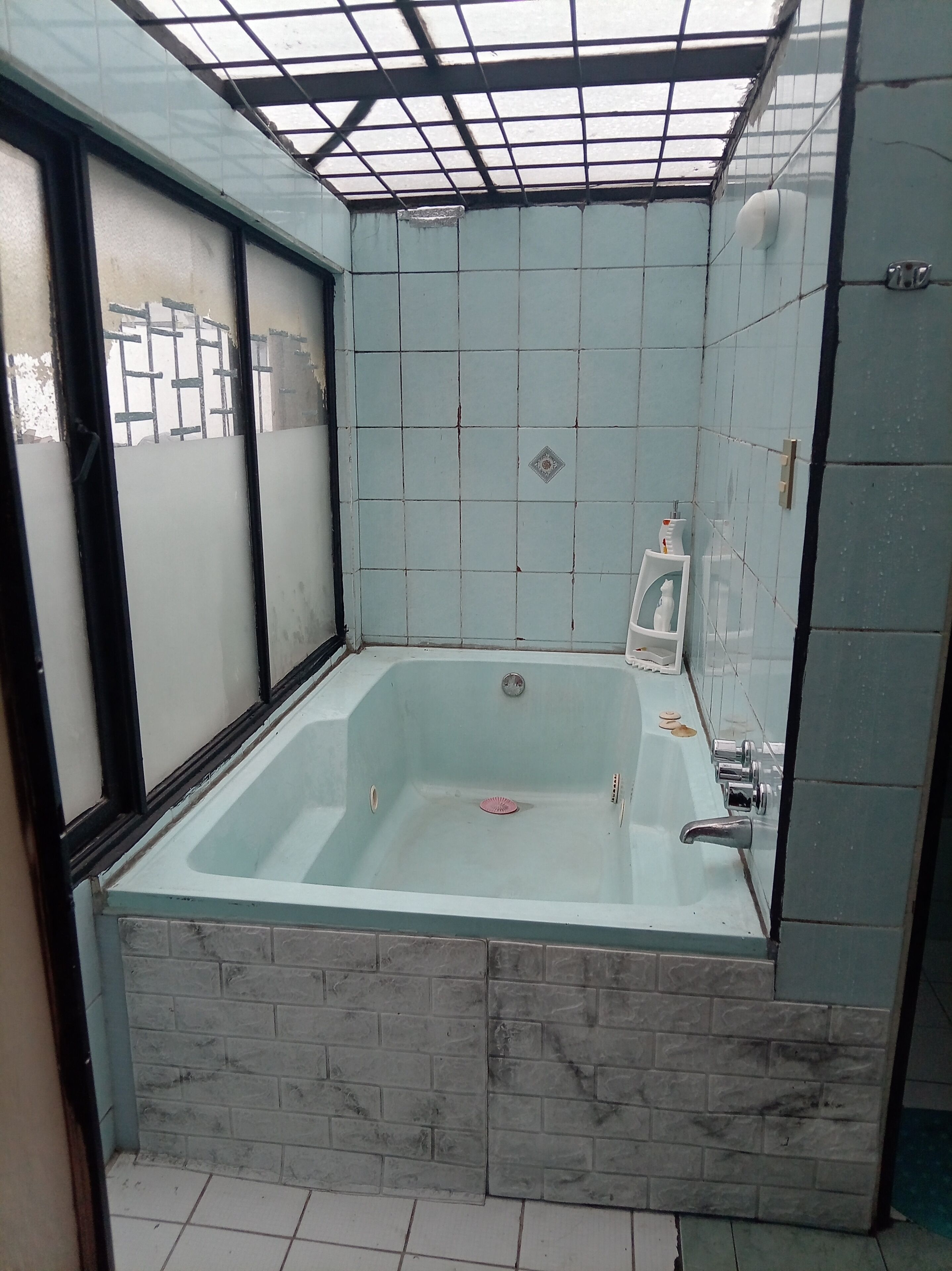 Jetted tub, hair dryer, towels, soap