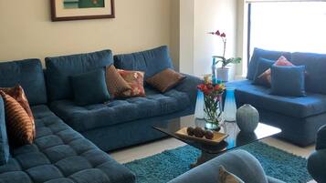 Smart TV, fireplace, video games, DVD player