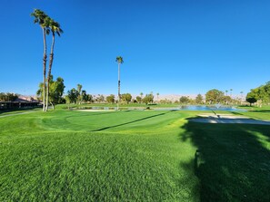 Golf - WOODHAVEN GOLF CLUB  charming 3-bedroom 3bath house, golf, pool, gym and spa (Palm Desert)