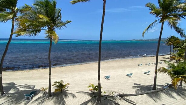 A beach with palm trees, a clear blue sky, and the ocean. - Stunning Caribbean Sea views! (Christiansted)