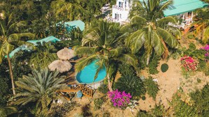 A resort with a pool, palm trees, and a mountain backdrop. - Amazing mountain top home with stunning views! (Marigot Bay)