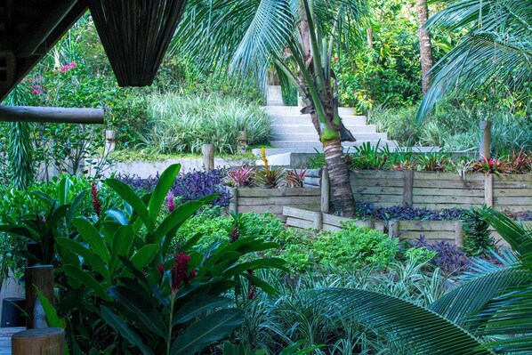 Jardim