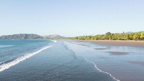Une plage offrant une vue dégagée sur l’océan et bordée d’une rangée de palmiers.