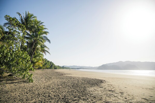 Playa