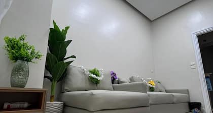 New royai studio
