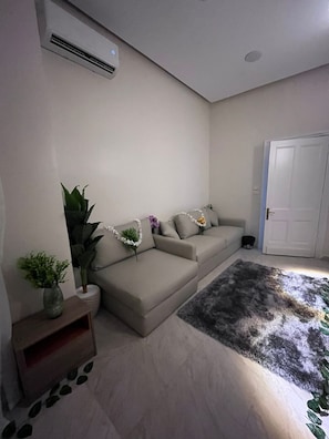 Family Apartment, Balcony, City View | Living area | 50-inch plasma TV with satellite channels, fireplace, pay movies - New royai studio (Cairo)