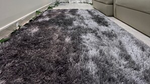 Un salon moderne avec un tapis à longues mèches gris, un canapé beige et une plante en pot.