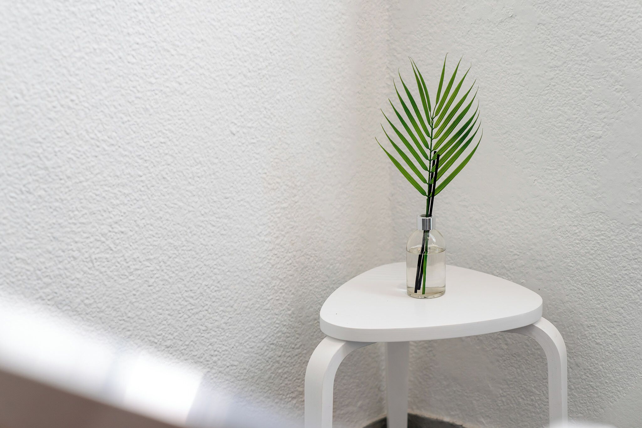 Una mesa blanca con un florero de vidrio transparente que contiene una sola planta verde.