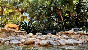 Una piscina rodeada de rocas grandes y exuberante vegetación tropical.