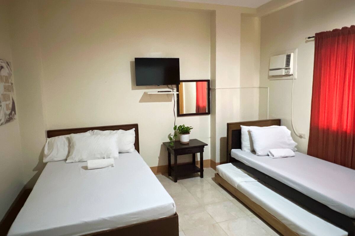 A hotel room with two beds, a TV, a small table with a plant, and an air conditioning unit.