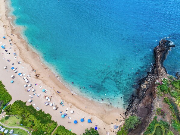 Plage à proximité, chaises longues, serviettes de plage