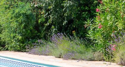 Villa Les Cigales â Maison de vacances dans les CĂ©vennes avec piscine clĂŽturĂ©e et jardin luxuriant