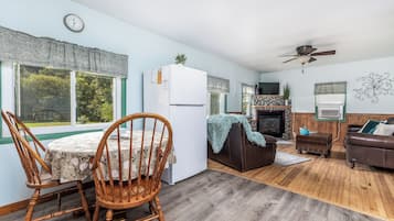 TV, fireplace, books