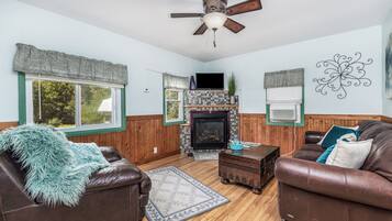 TV, fireplace, books