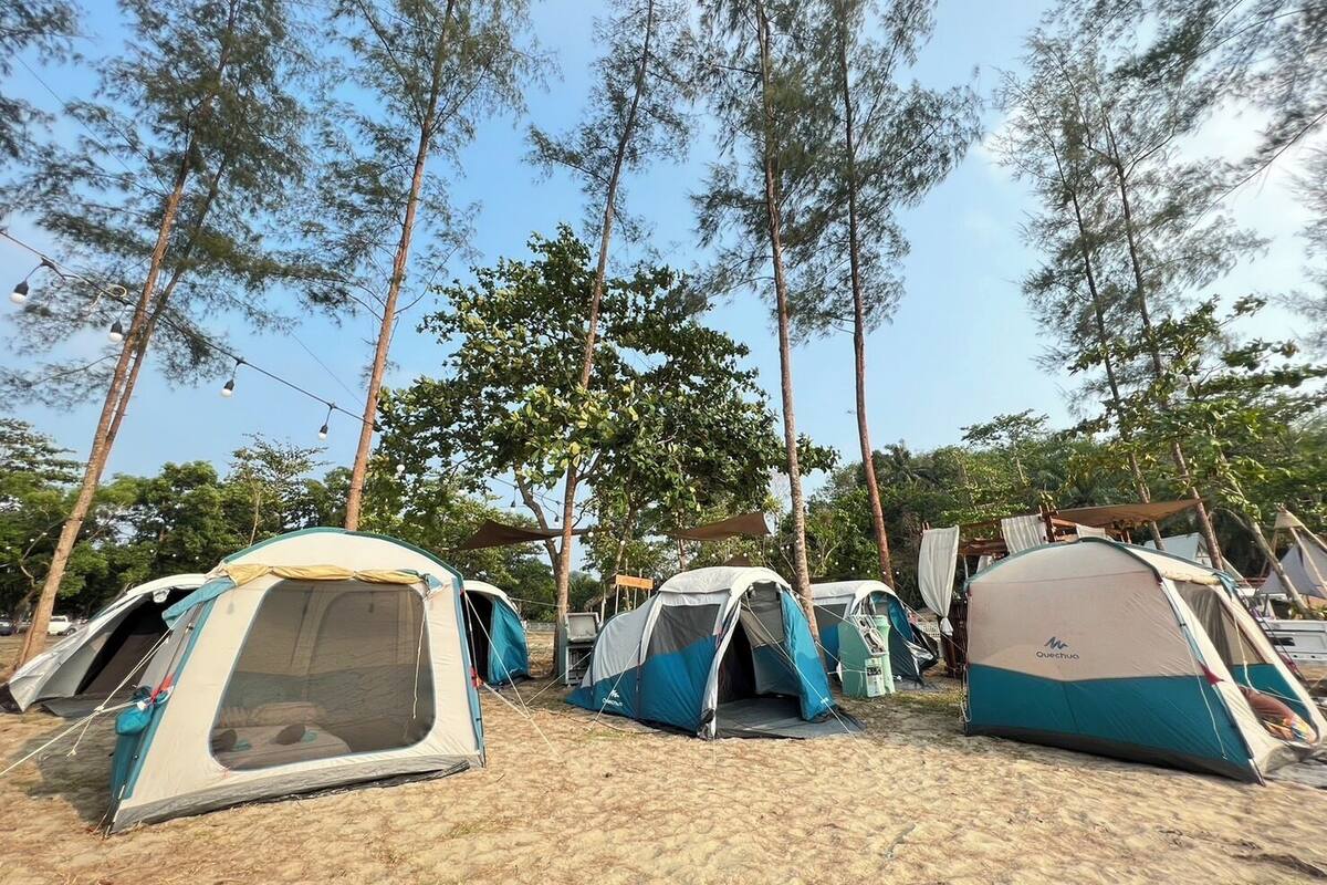 A campsite with multiple tents, some with attached awnings, set up on sandy ground with trees in the background.