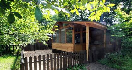 16 Northland Cottage with Dog / Agatsuma County Gunma