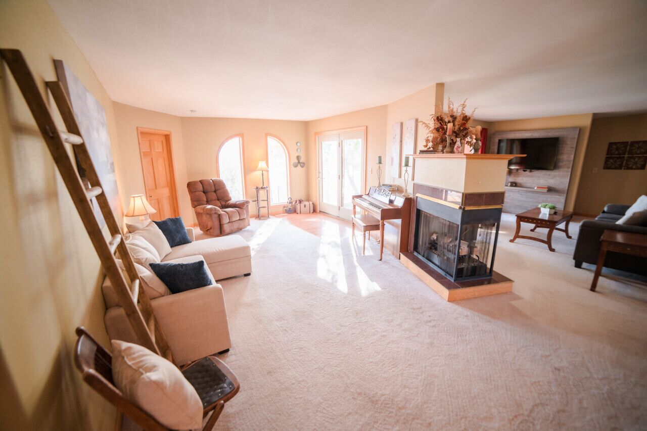 TV, fireplace, books