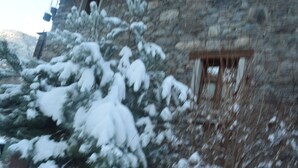 Un edificio de piedra con una ventana y árboles cubiertos de nieve.