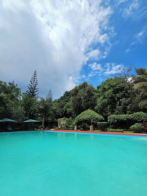 Una piscina con agua cristalina azul, rodeada de exuberante vegetación y árboles.
