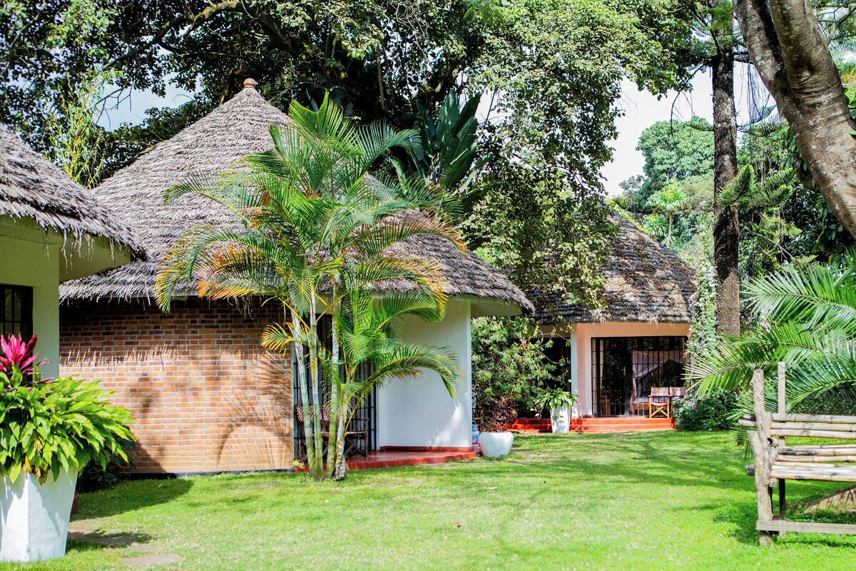 A bungalow with a thatched roof, surrounded by lush greenery and a well-maintained lawn.