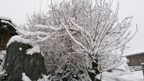 Schneebedeckte Landschaft mit einem großen Felsen, einem Baum und einem Gebäude im Hintergrund.