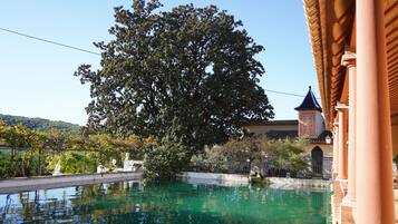 Habitació, 1 dormitori, fumadors, piscina privada | Exterior
