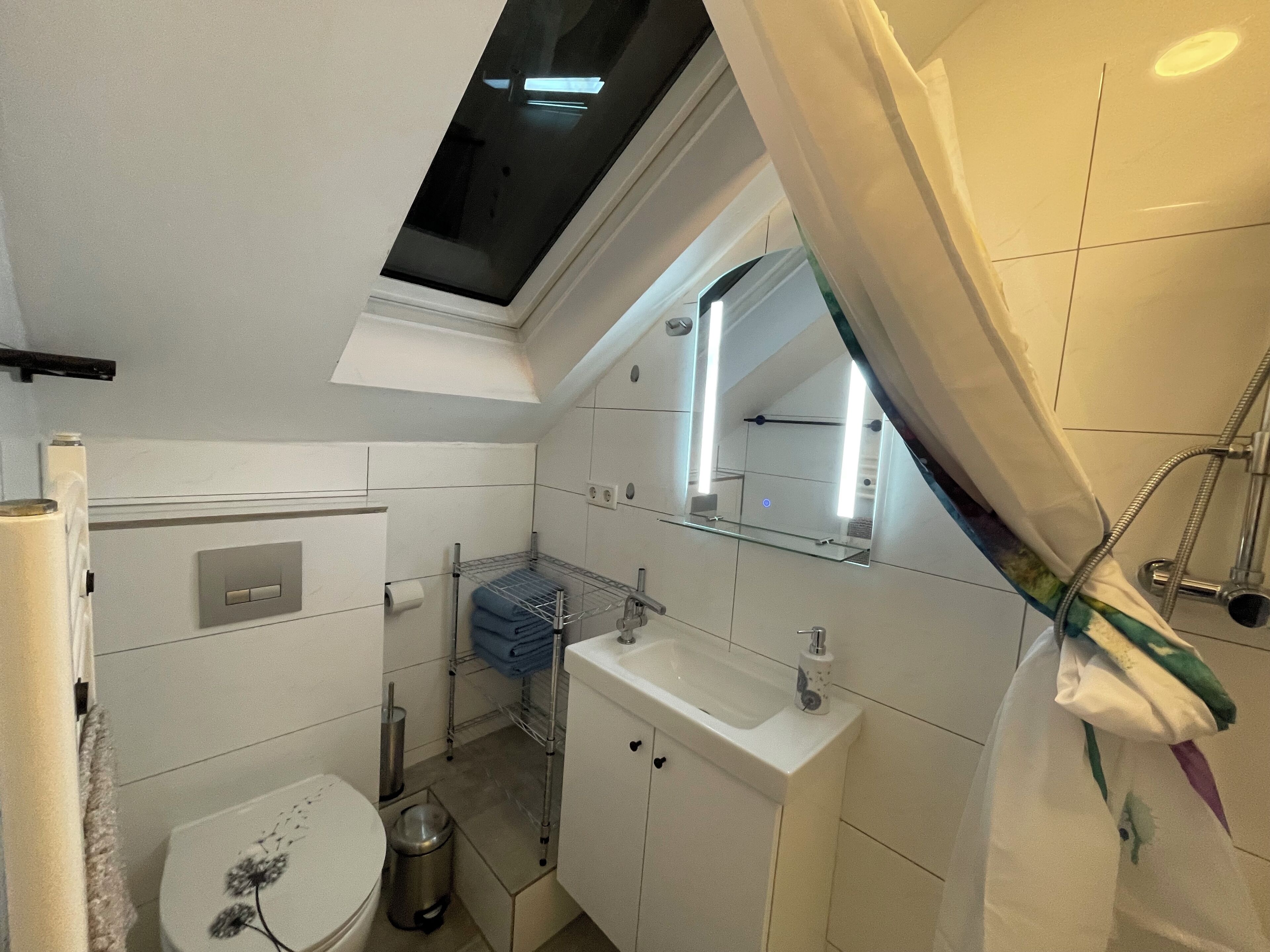 Un baño pequeño con tragaluz, inodoro, lavamanos y ducha.