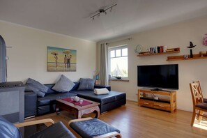 Televisor, llar de foc i llibres 