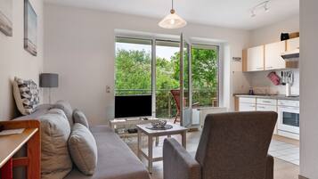 TV, DVD player, aparelho de som