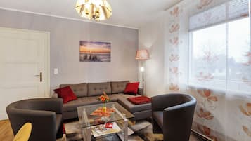 Fernseher, Stereoanlage