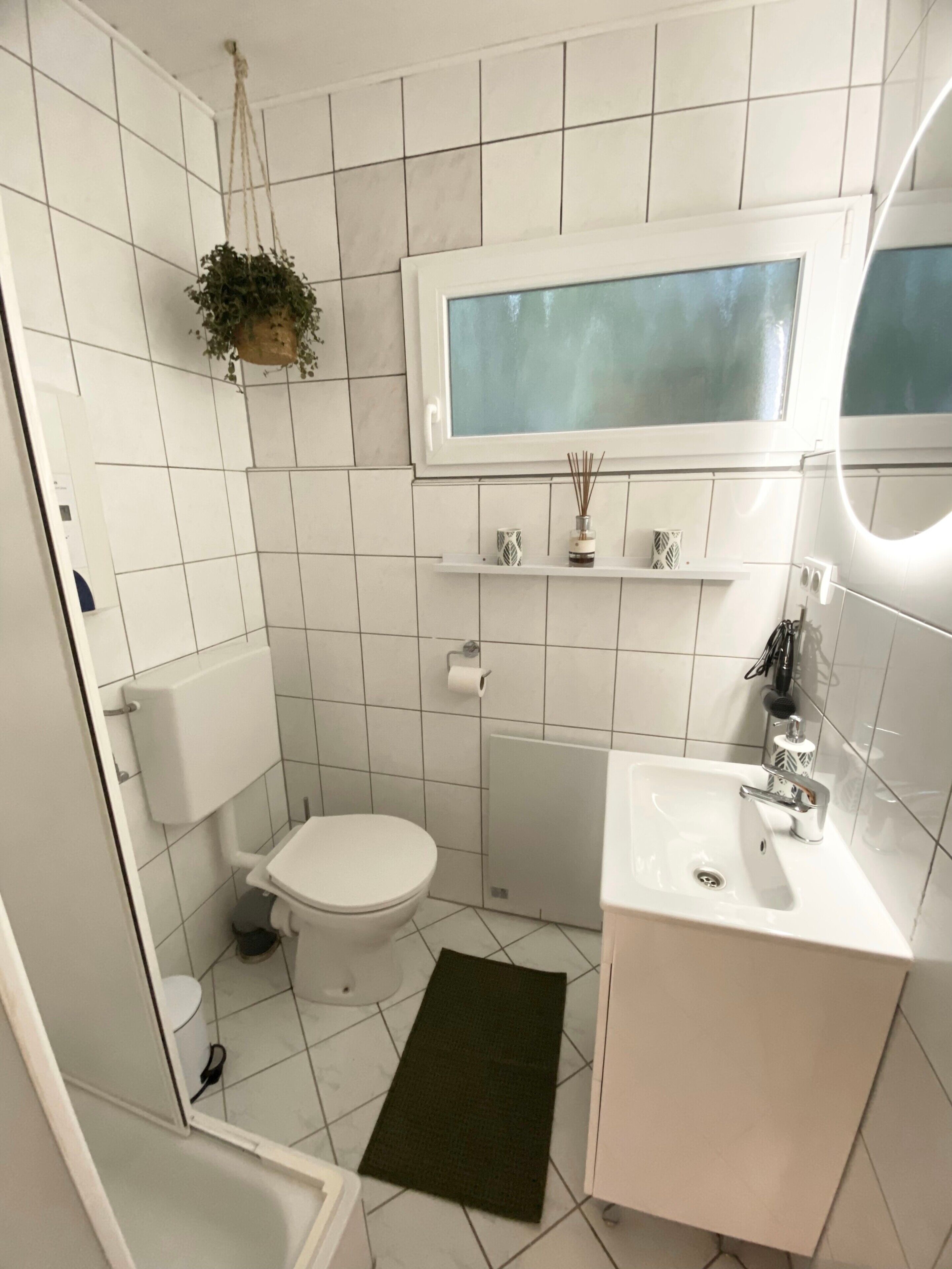 Une salle de bain équipée de toilettes, d’un lavabo, d’un miroir et d’une plante suspendue.