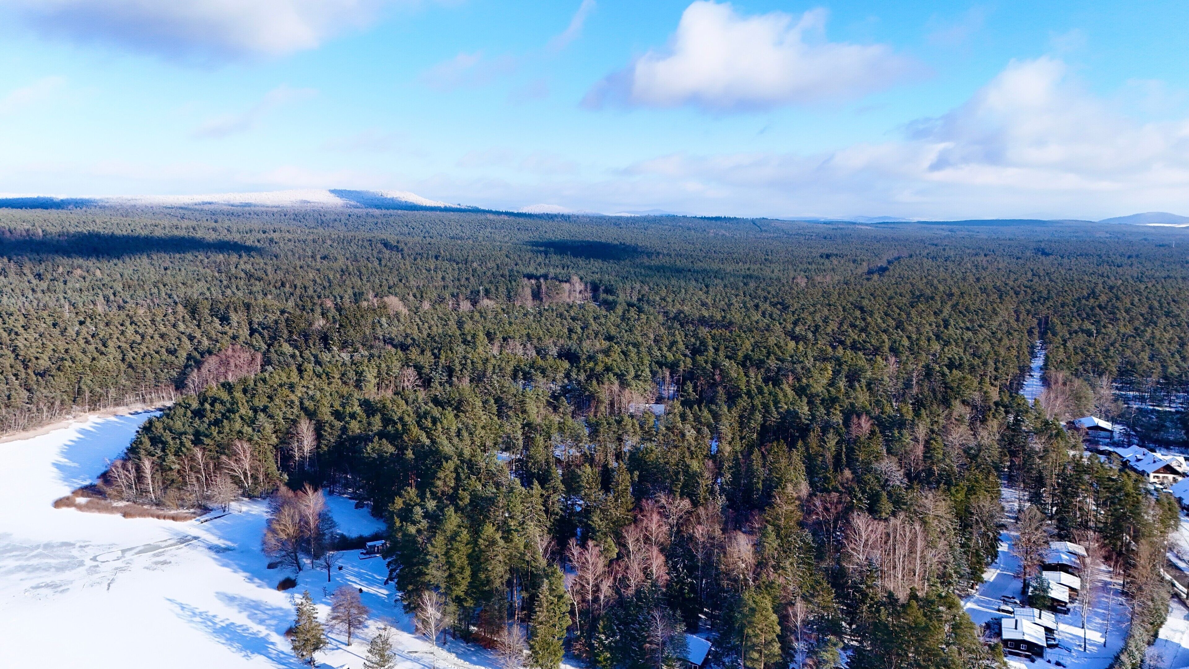 A forested area with snow-covered ground and a few buildings.