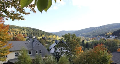 Maison de vacances 'Zum GrĂŒnen Hirsch Stolln' avec vue sur la montagne, terrasse privĂ©e et Wi-Fi