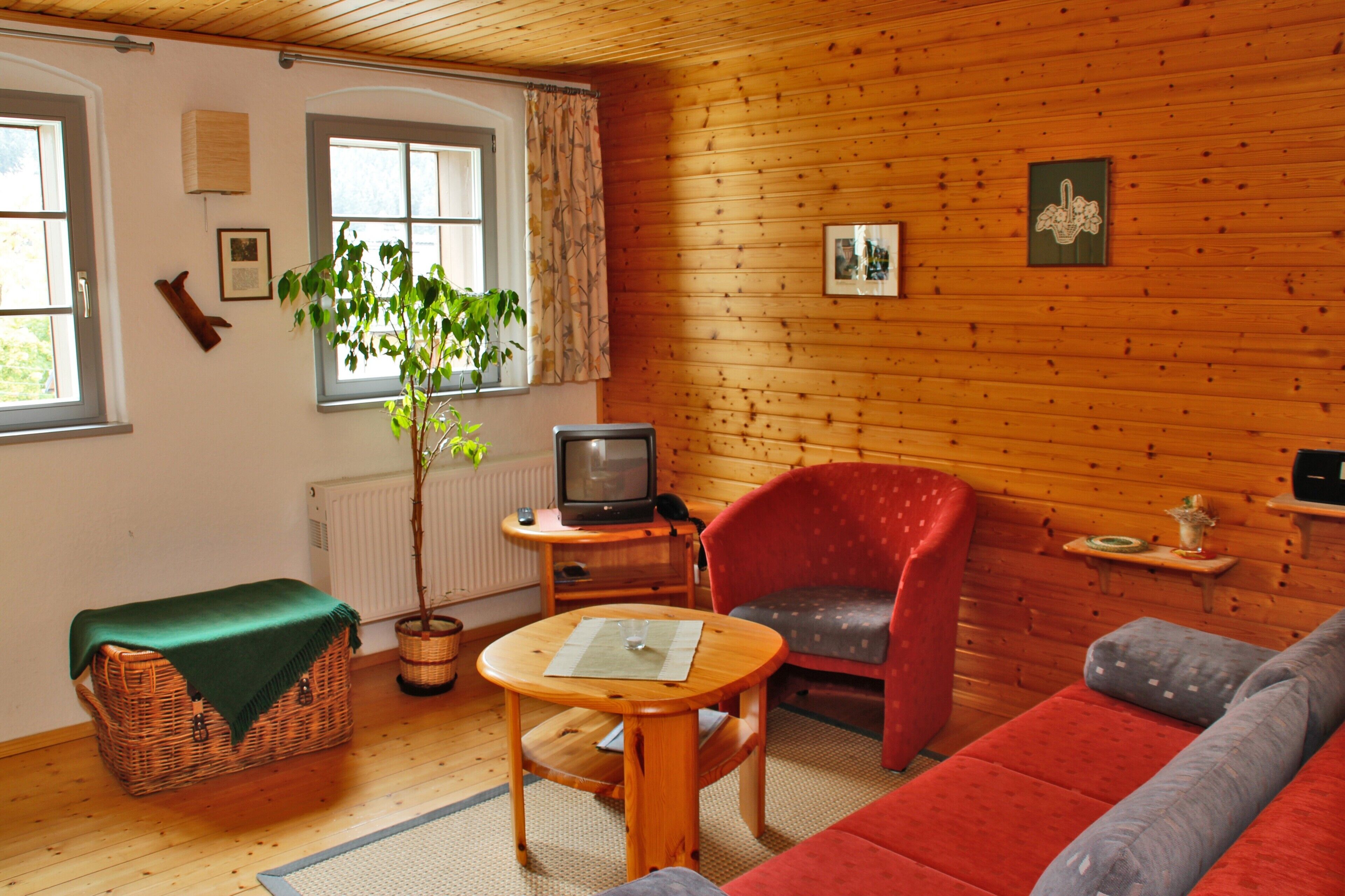 Televisión y chimenea 