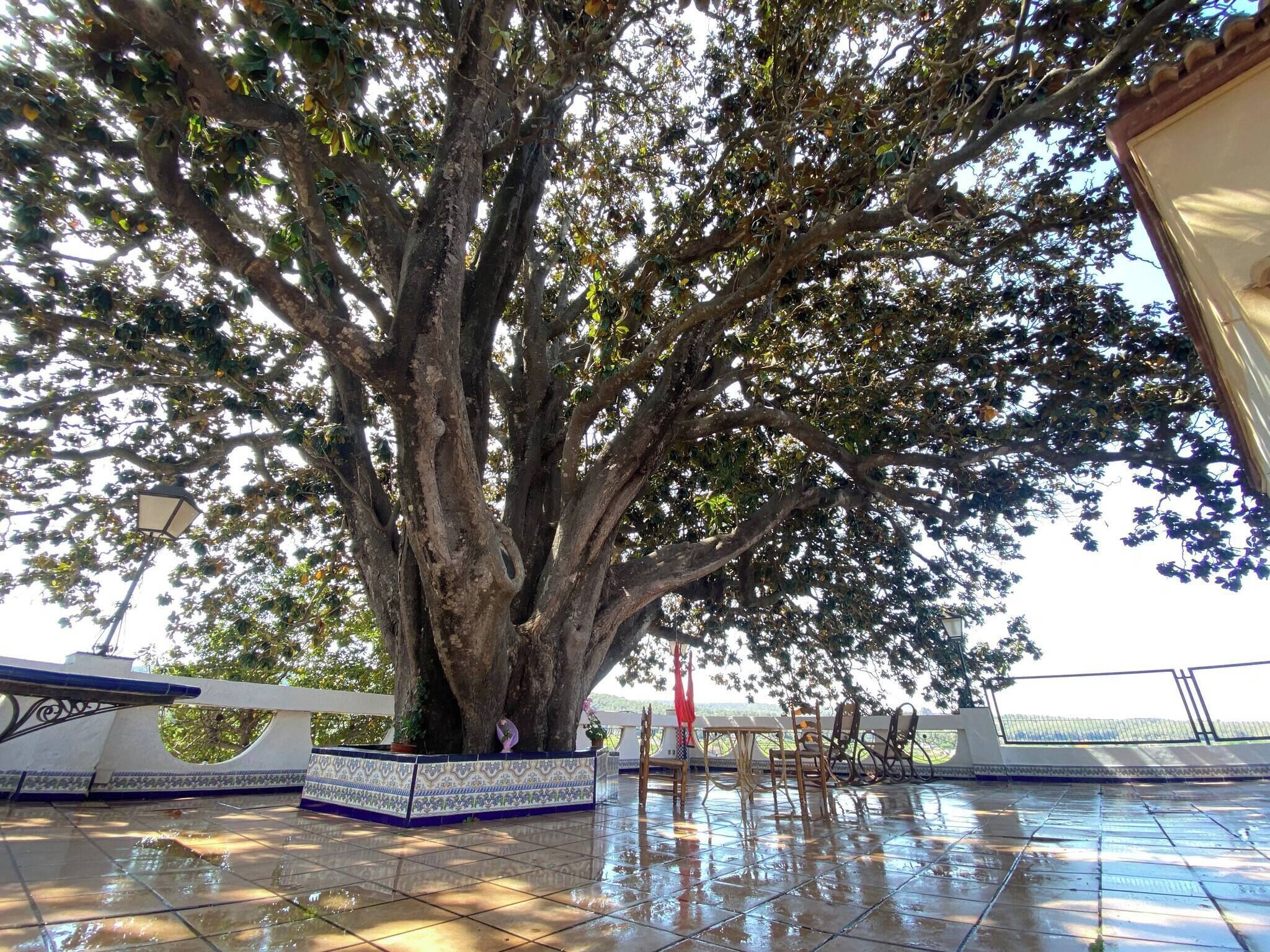 Villa, 6 Bedrooms, Smoking, Balcony | Exterior