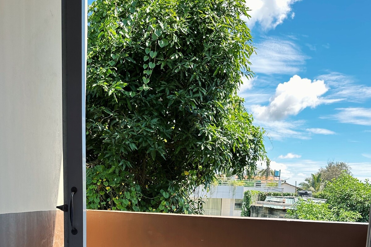 A balcony with two wooden chairs, a glass door, and a view of a tree and buildings.