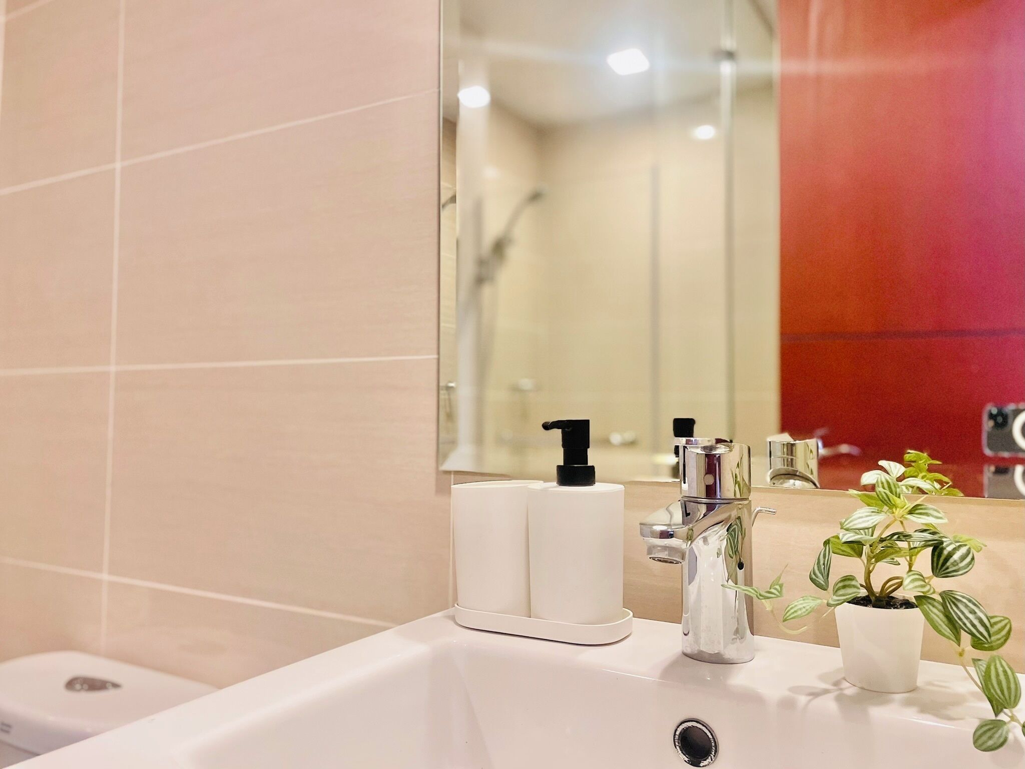 A bathroom with a white sink, a mirror, a handheld showerhead, and a potted plant.