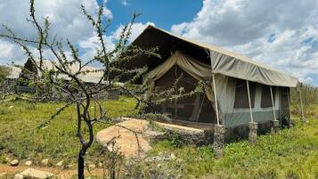 Fer et planche à repasser