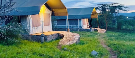 Basic Double Room, Mountain View