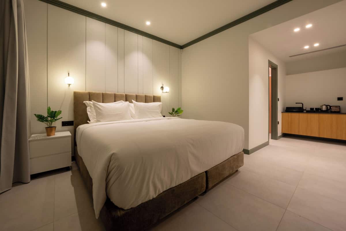 Junior Suite | 1 bedroom, free WiFi