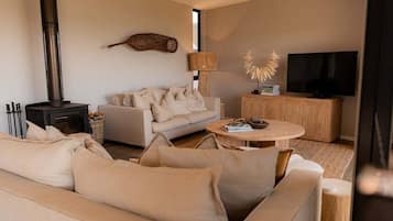 Televisión y chimenea