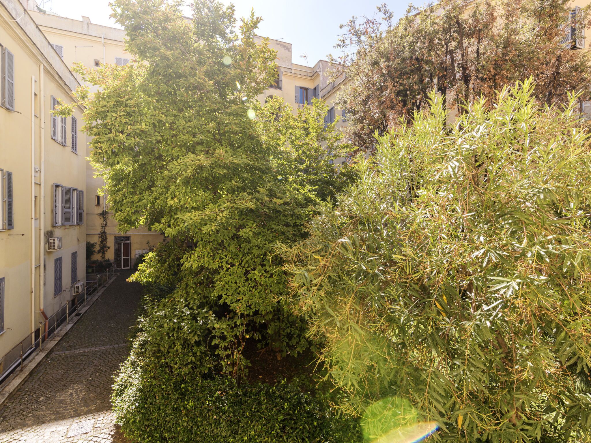 Une ruelle étroite pavée, bordée d’une végétation luxuriante et de bâtiments aux volets fermés.