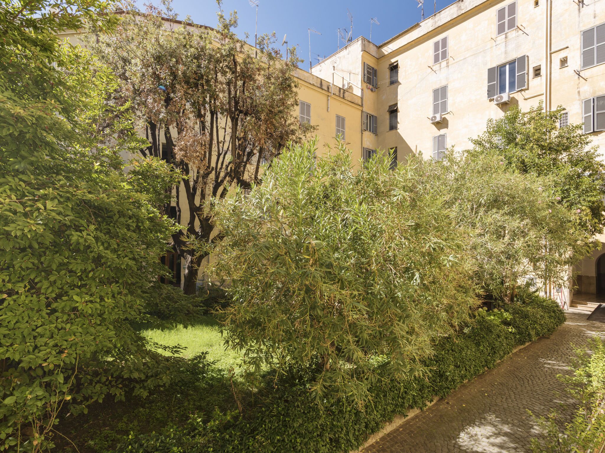 A courtyard with dense greenery, a cobblestone path, and buildings with balconies and windows.